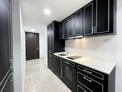 Mayfair Modern (D21), Condominium #479428961